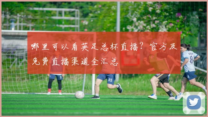 哪里可以看英足总杯直播？官方及免费直播渠道全汇总