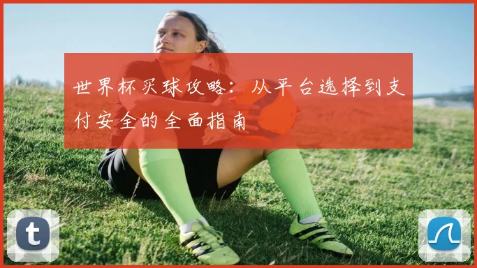 世界杯买球攻略：从平台选择到支付安全的全面指南