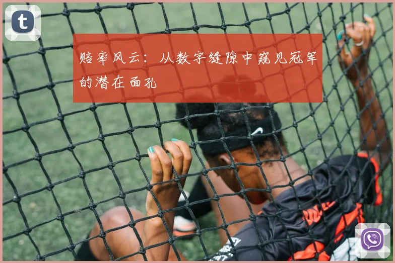 赔率风云：从数字缝隙中窥见冠军的潜在面孔
