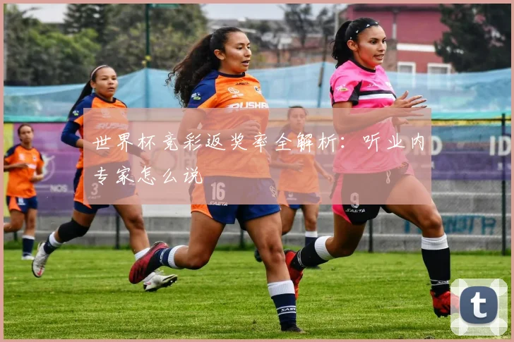 世界杯竞彩返奖率全解析：听业内专家怎么说