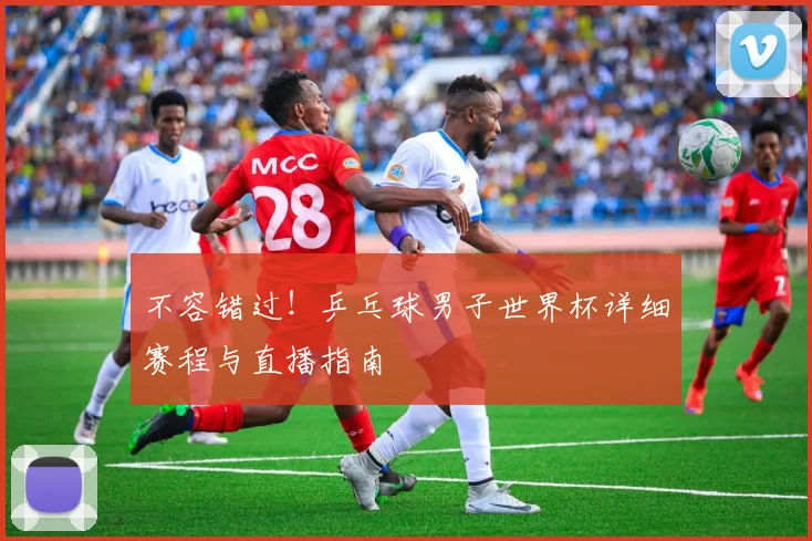 不容错过！乒乓球男子世界杯详细赛程与直播指南