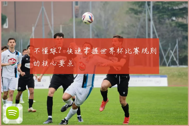 不懂球？快速掌握世界杯比赛规则的核心要点