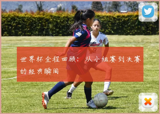 世界杯全程回顾：从小组赛到决赛的经典瞬间