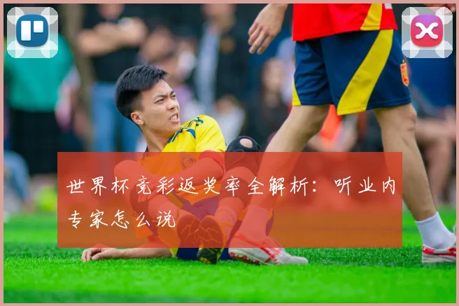 世界杯竞彩返奖率全解析：听业内专家怎么说